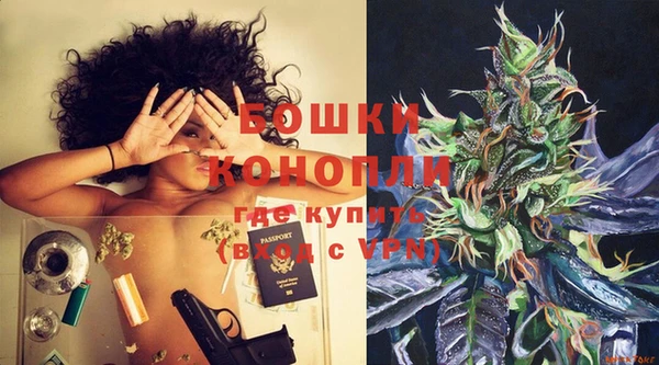 гашик Арсеньев