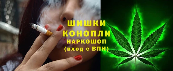 гашик Арсеньев