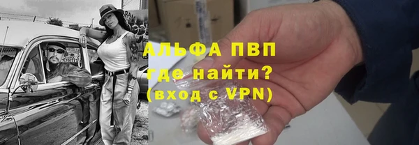 гашик Арсеньев