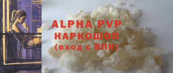 гашик Арсеньев