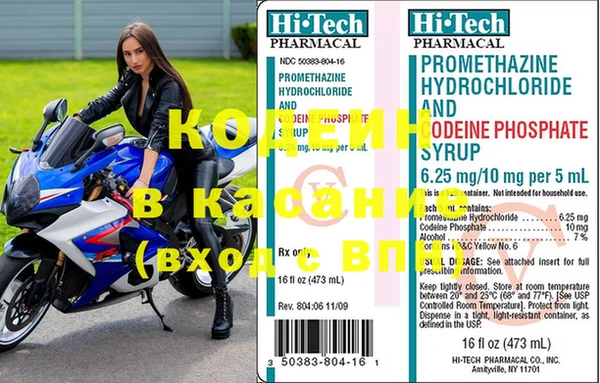хмурый Алексин