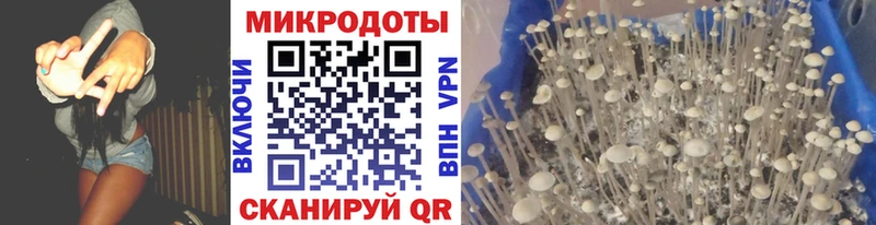 Псилоцибиновые грибы Psilocybine cubensis  Нефтекумск 