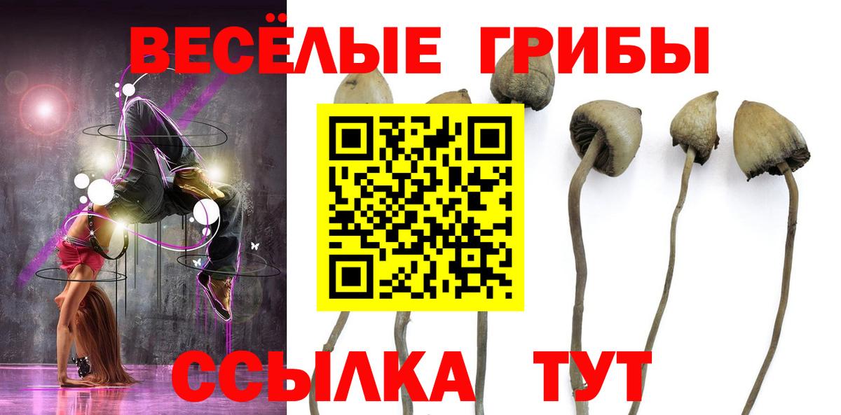 Псилоцибиновые грибы Cubensis  Вход с VPN  Нефтекумск 